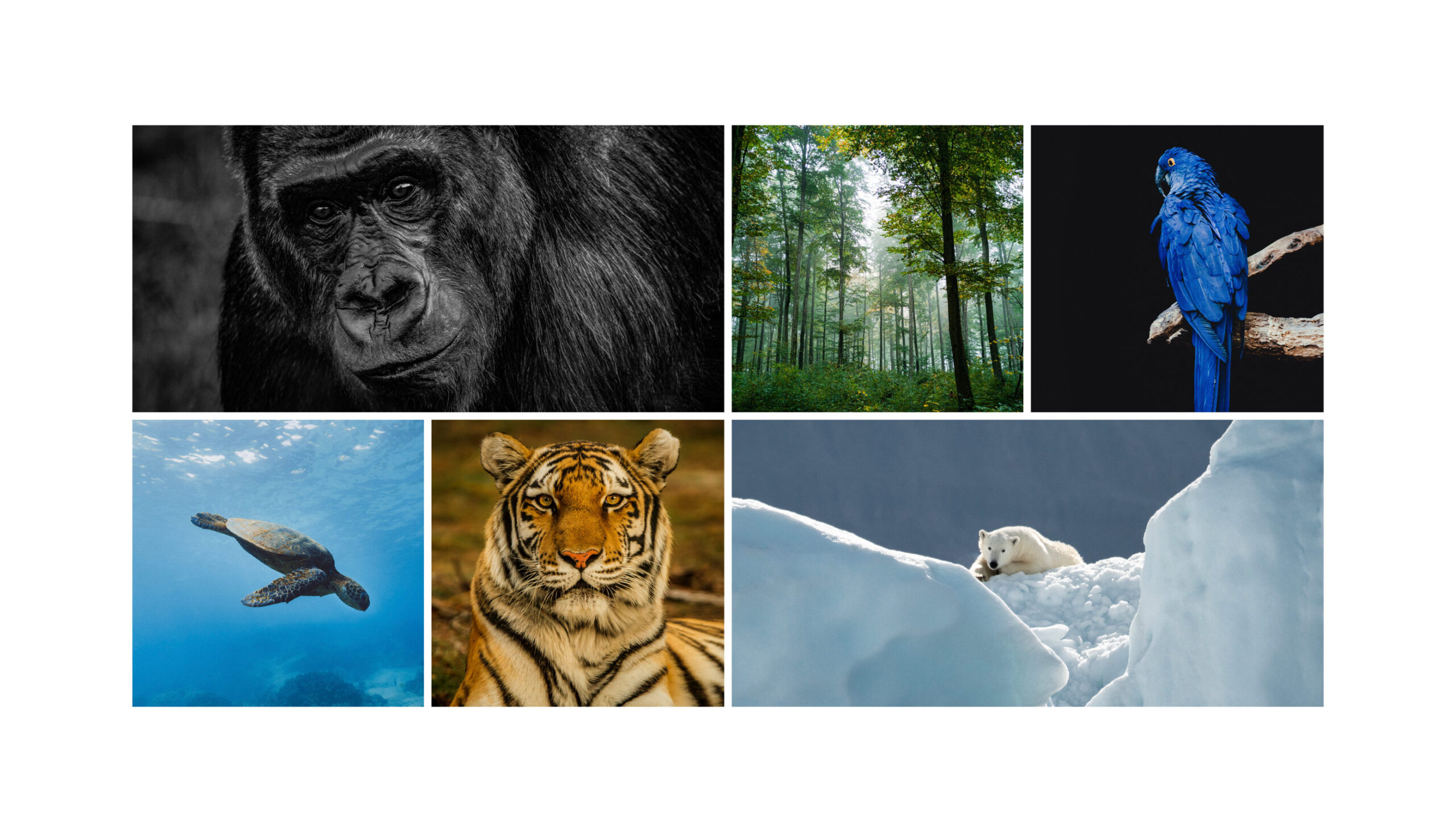 Artboard-70-copy-11_small