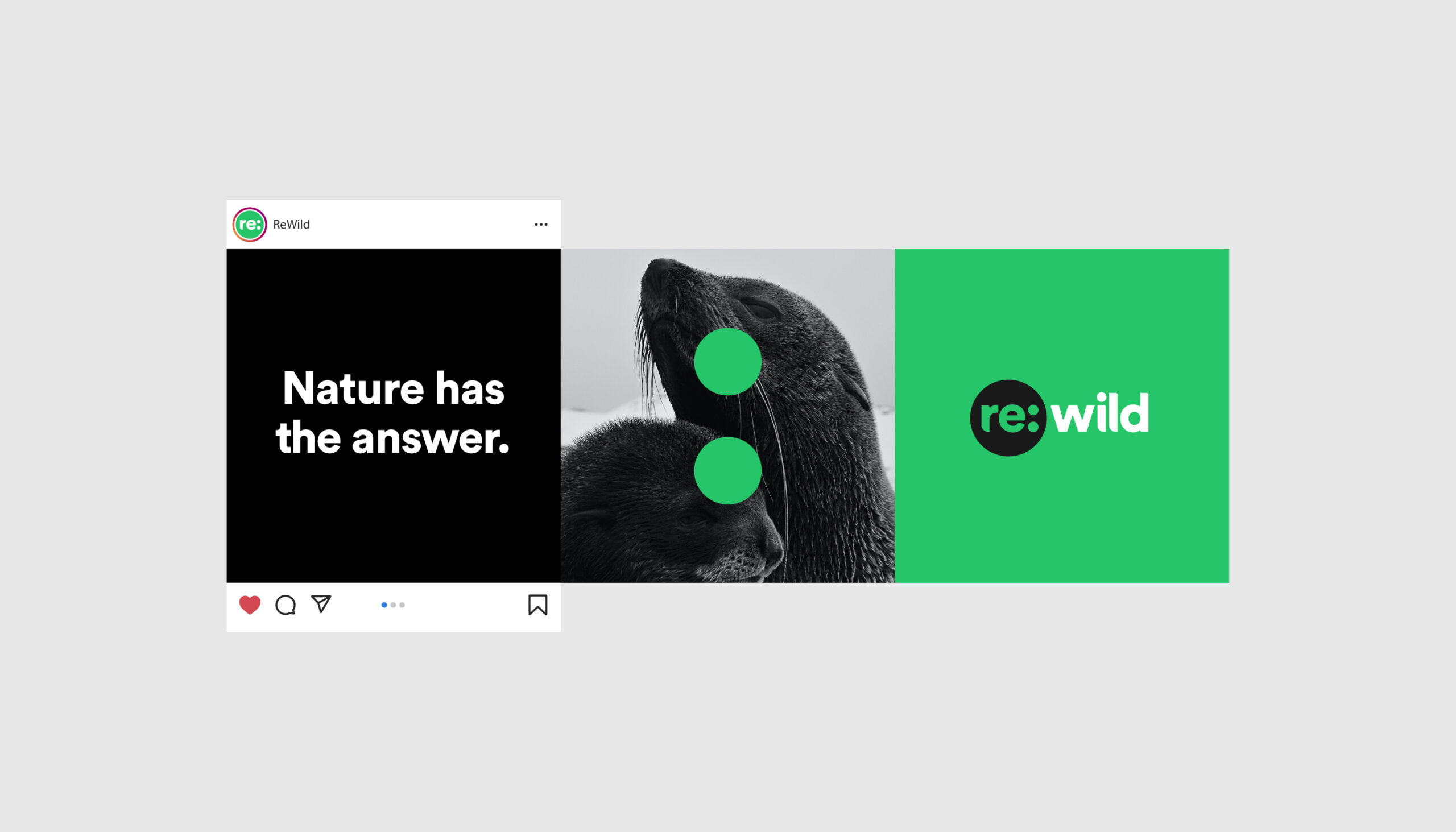 rewild_social-06